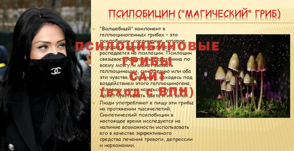 ALPHA PVP Кулебаки