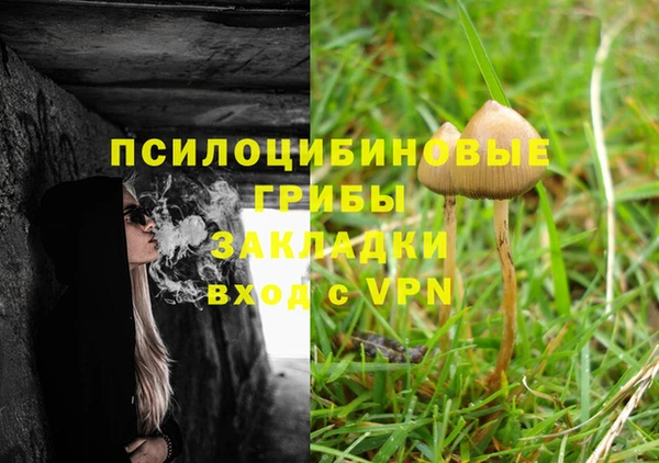 гидра Куйбышев