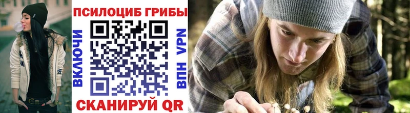 закладки Орехово-Зуево Галлюциногенные грибы Psilocybe